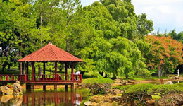 botanical gardens of havana