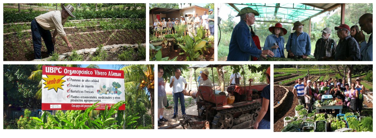 agritourism in cuba