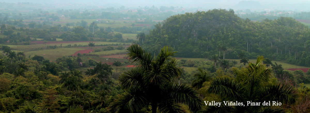 viñales valley