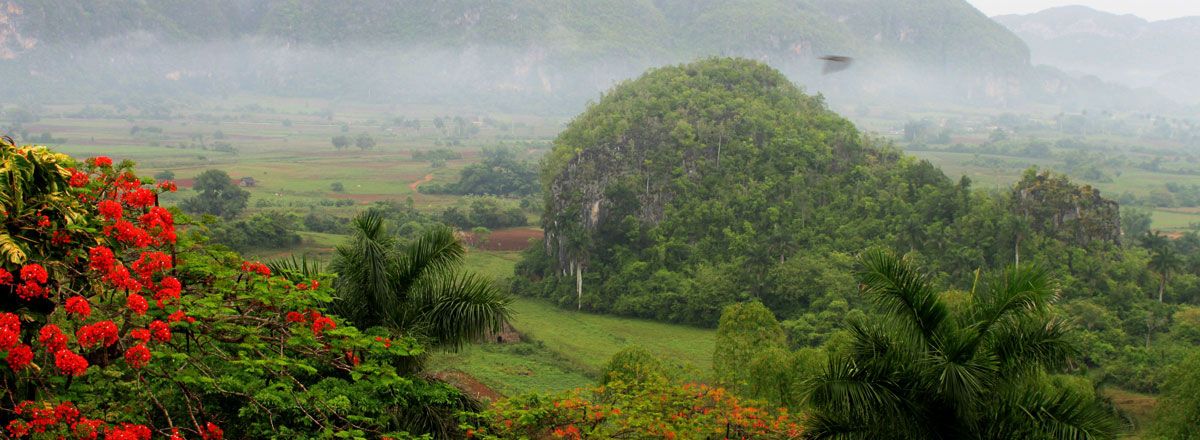 Viñales Valley Cuba