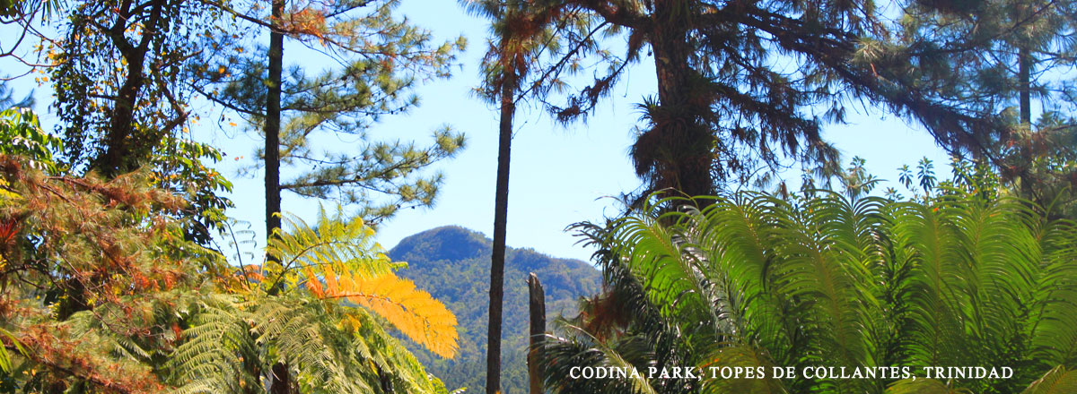 escambray montains topes de collantes trinidad cuba