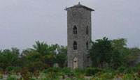  Torreon nursery in cayo largo del sur.