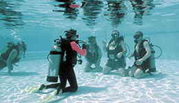 Eagle Ray Scuba Diving Center in guardalavaca