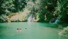 Poceta el Venado in Guanayara Park Topes de Collantes, Cuba