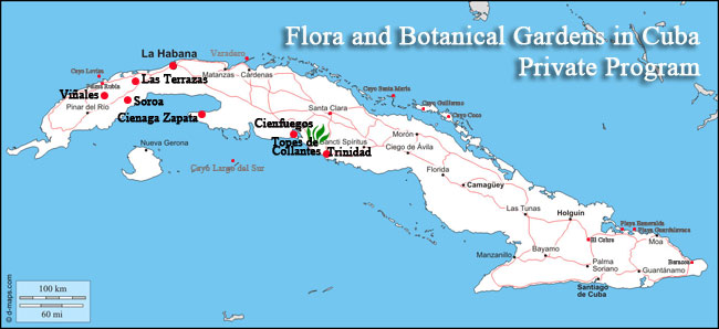 flora and botanical gardens in cuba